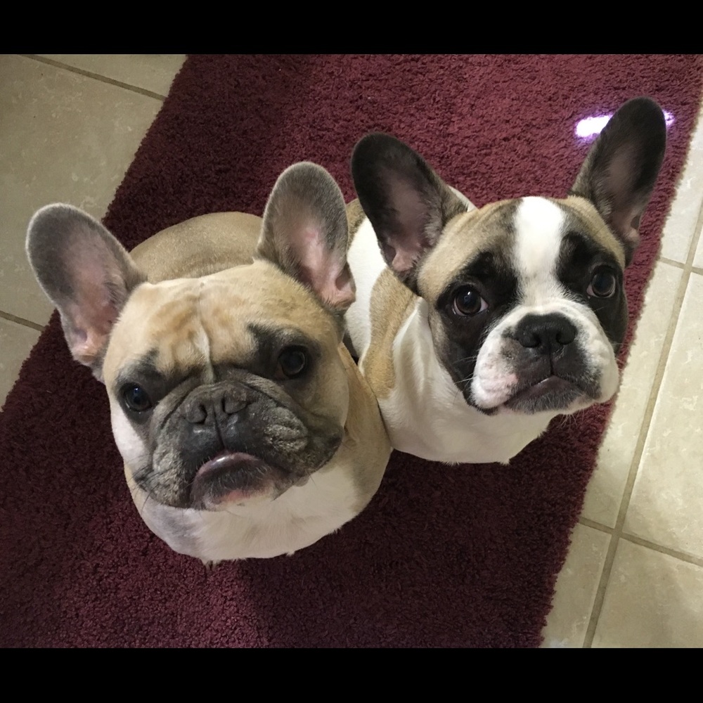 Meet your Posher 😊